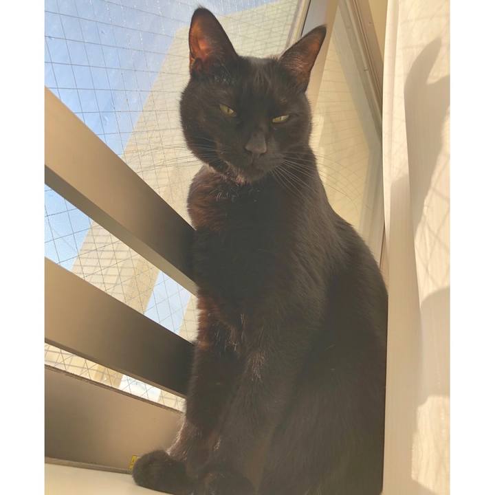 Eab2e5b4 5374 4b7b 80bc 3118e05c6bbf 1550451368857