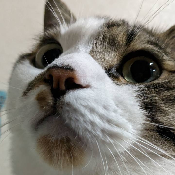 Eab313f8 8843 45d1 a360 032d6dfb0eef 1688465680964