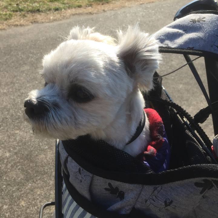 Eab3458e 08fa 4e22 b8a2 2051e8810687 1513578262212