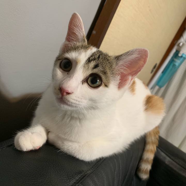 Eab351b2 44d9 48c3 a361 81f4d922b2a0 1597663778149