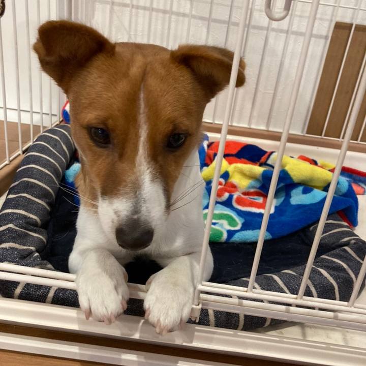 Eab36fb5 3c22 4571 a5e3 faede1c4e0d8 1607994147080