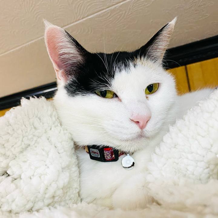 Eab3b1bb a21b 456e a81a 6242a97fb071 1678546053098