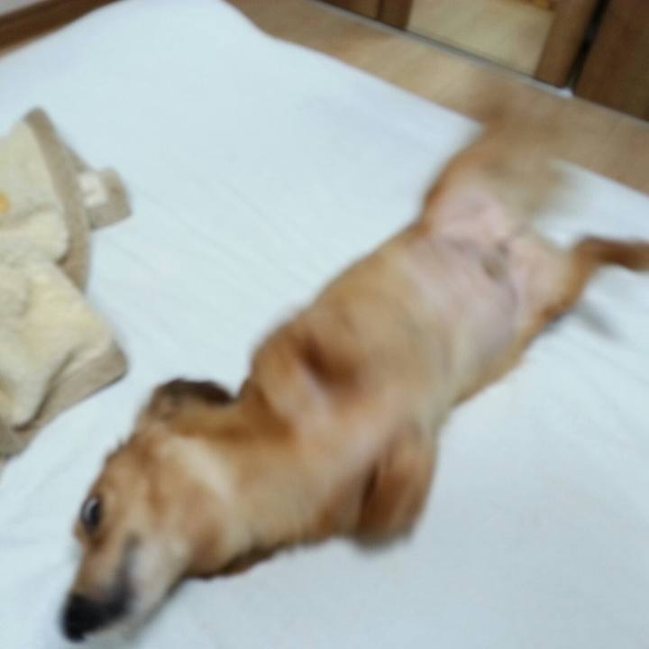 Eab40043 2a98 4bb1 bc59 6be018a82b3a 1532339807529