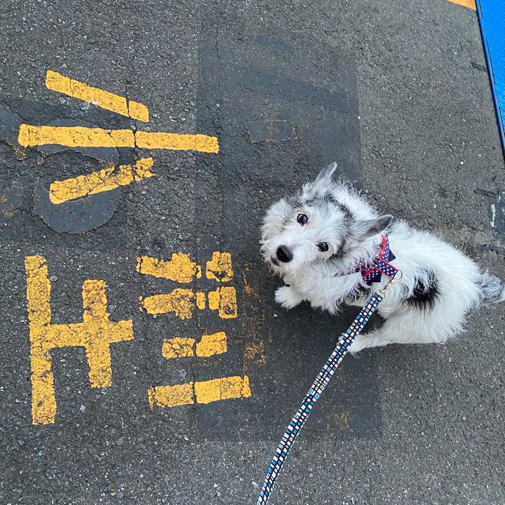 Eab40220 843e 44c6 ad5c 0eb370b26401 1621688127463