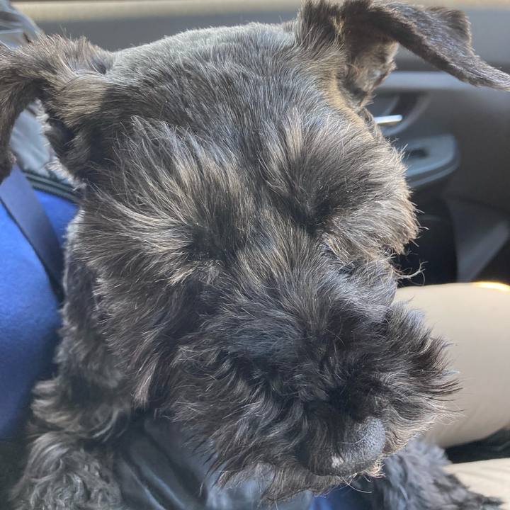 Eab446ca 0f79 44dd 9ded 1a3b84132bbe 1647081026376