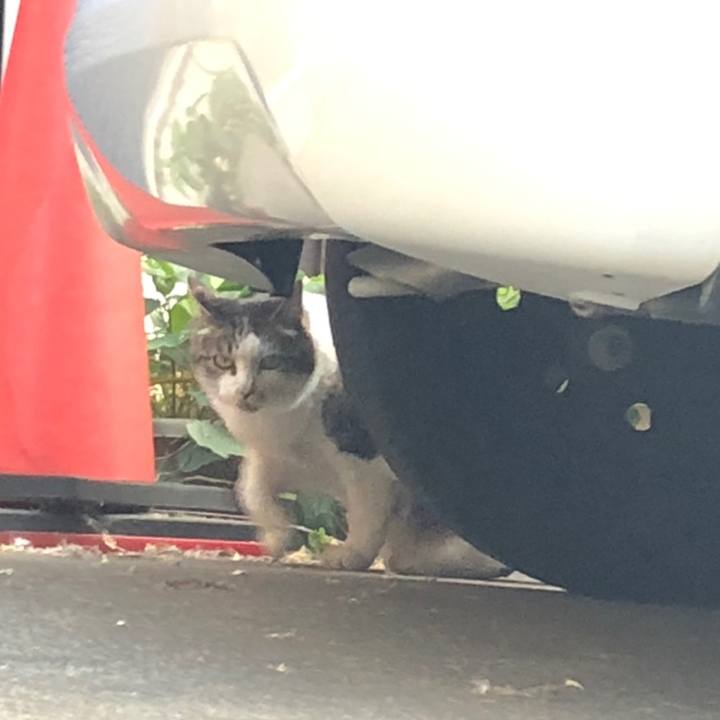 Eab47aa6 14a9 4cd2 b378 b1c65e286dd1 1558368942271