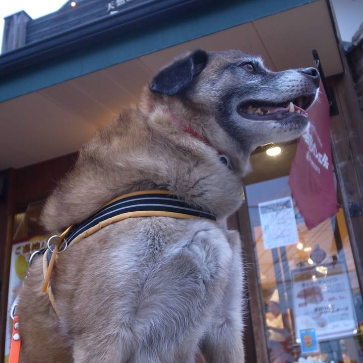 Eab4bd38 5024 4ce9 90b6 3c5baa6b25fb 1587517650869