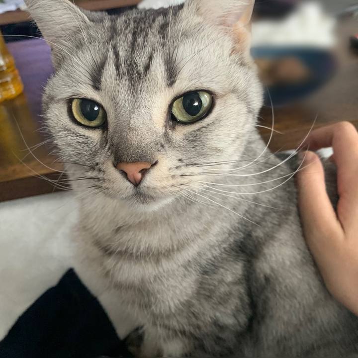 Eab4cb6f 6c48 4004 b8d2 731c2e17edf8 1648938862014