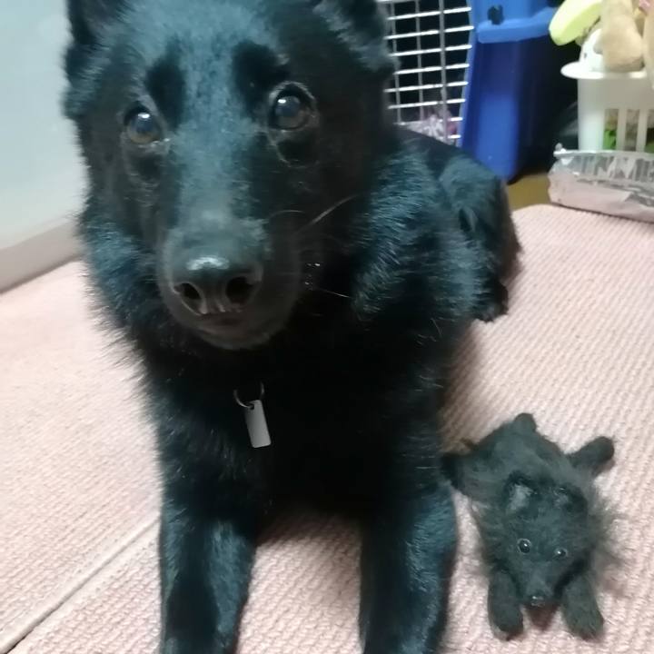 Eab518ba 86bb 4604 8d19 8c3787d8ad11 1675595884039