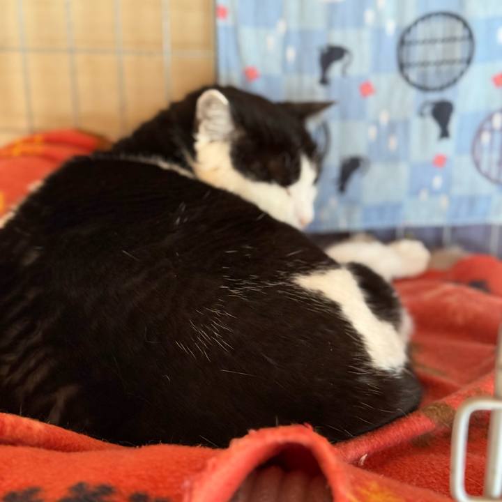 Eab52dfe 2330 4042 8394 b696525e760d 1772589207716