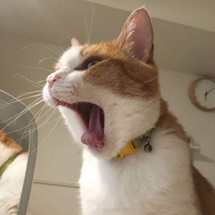 Eab5461a 994a 4c61 b54c fd6d66144ae5 1592601987878