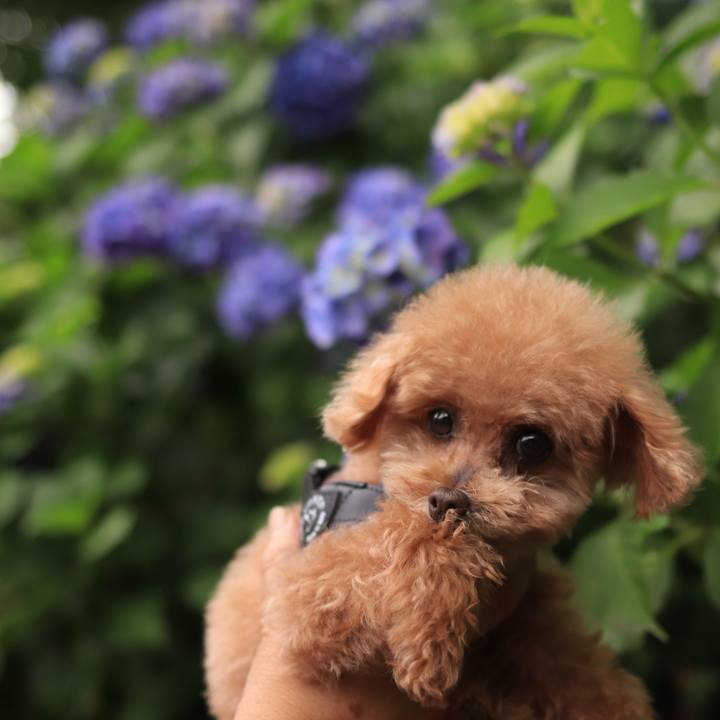 Eab54fe6 d4a8 4f9a 95a3 169f014e2046 1665151895763