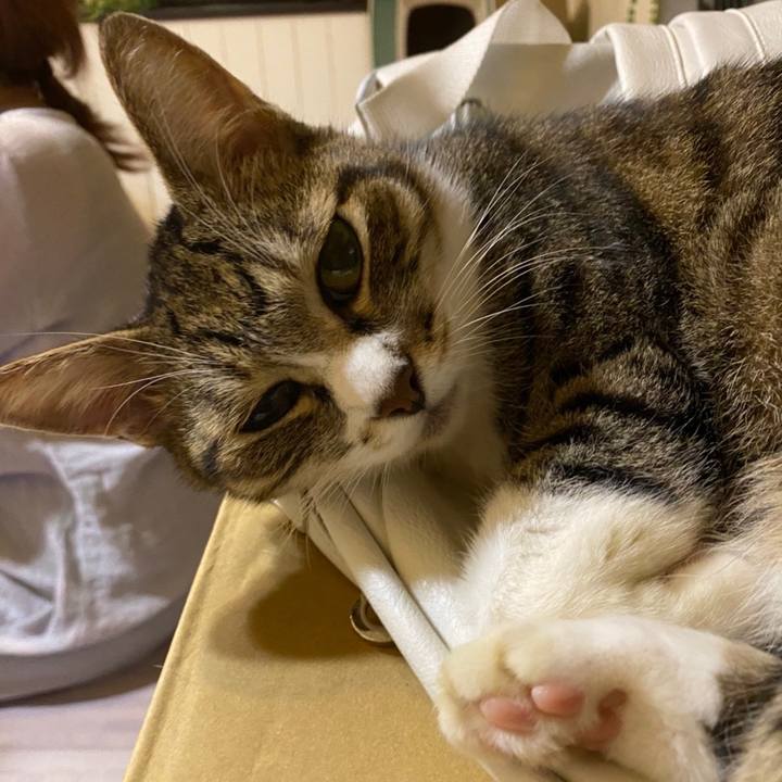 Eab55de8 2bba 427c 8efd a99103aa5dfd 1633172358240