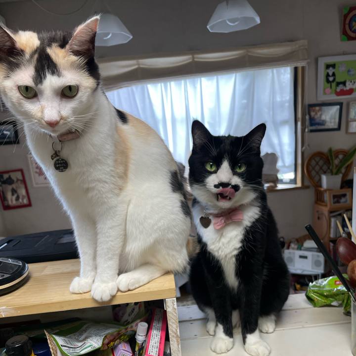 Eab5932a 7432 403d 80f4 b2dbbc68960b 1758516199442