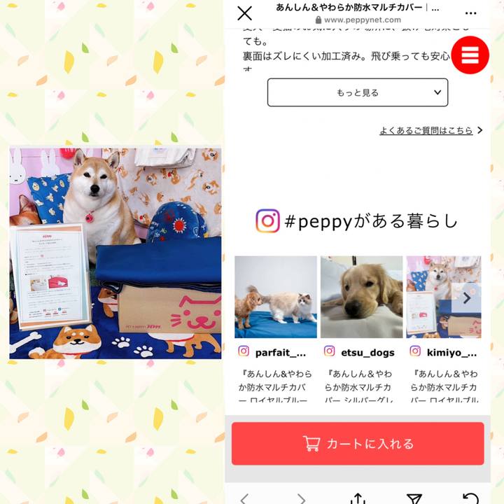 Eab5aae7 4990 4578 9b7d b9bd88820f5b 1679565859255