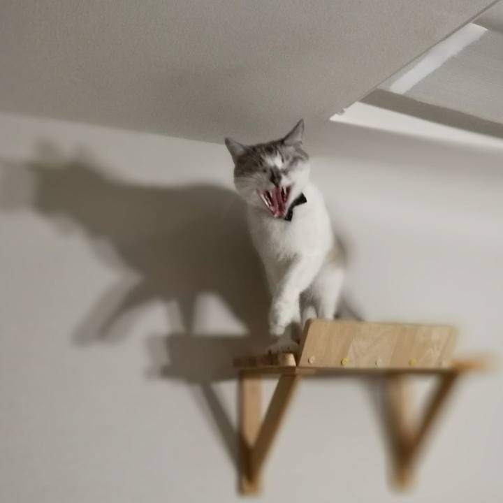 Eab5c282 4544 4ac0 a935 6f84fb837d49 1523591599760