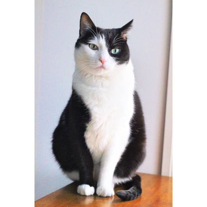 Eab5ee10 a393 4804 bc63 81df5bb83c77 1571137065987