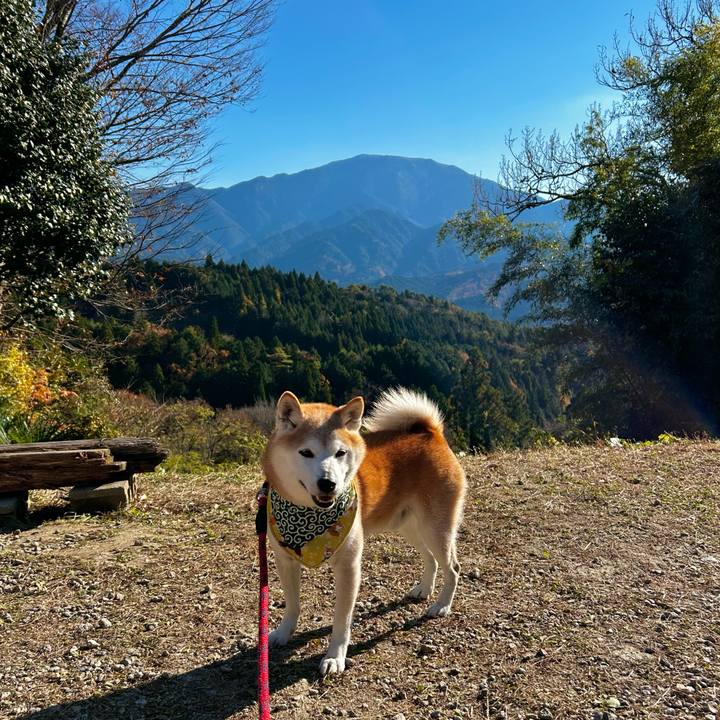 Eab5eea2 7d56 41a4 b7a7 b0314892075c 1763710572719