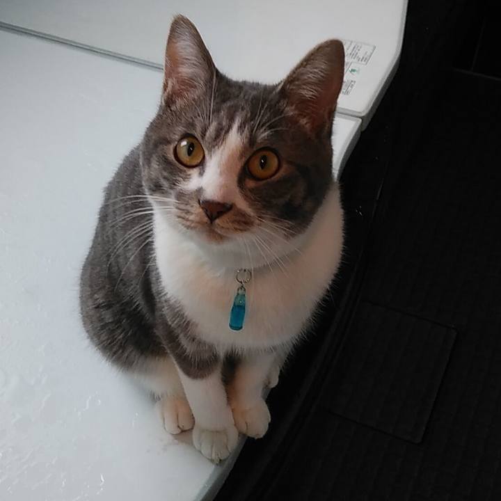 Eab5f520 17ce 4835 b0b6 5359639024ab 1583278574665