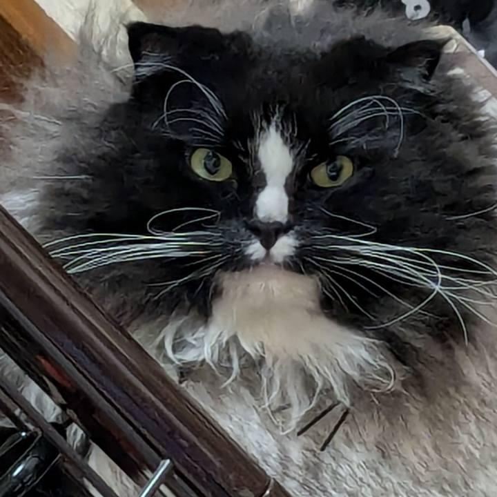 Eab60848 e7aa 46fb a1b8 b2f41d7e669d 1731974432723