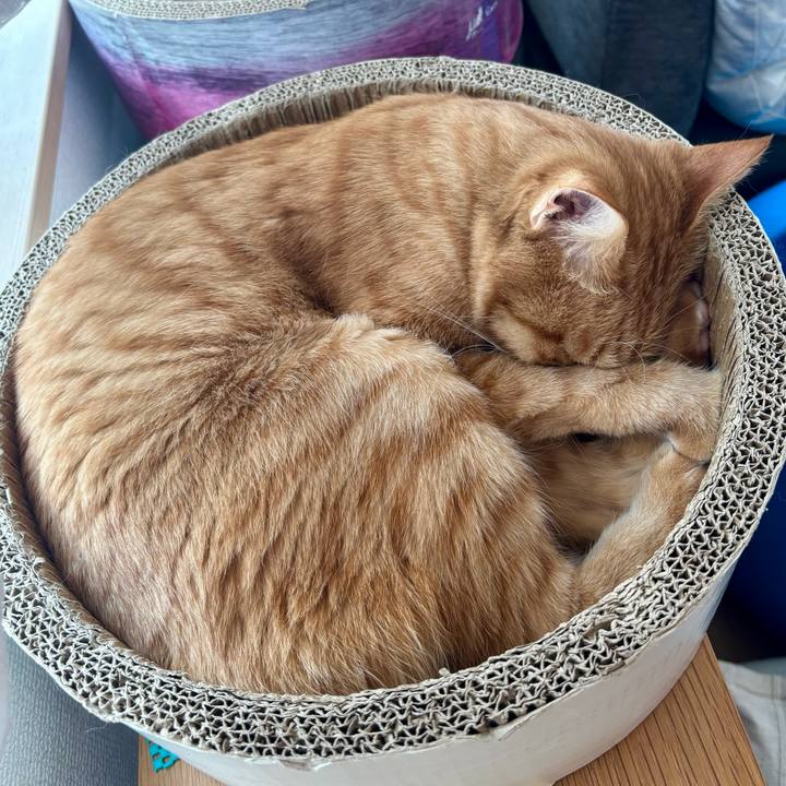 Eab60ba9 1ea7 4f55 a38e 1feb17281d5d 1763422689821