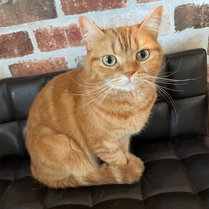 Eab61d18 1878 45ae 99a1 0891a9eaa0a6 1668334902525