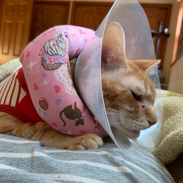 Eab62b3b 1bb6 4c47 9065 9a8ad1424039 1622236044909