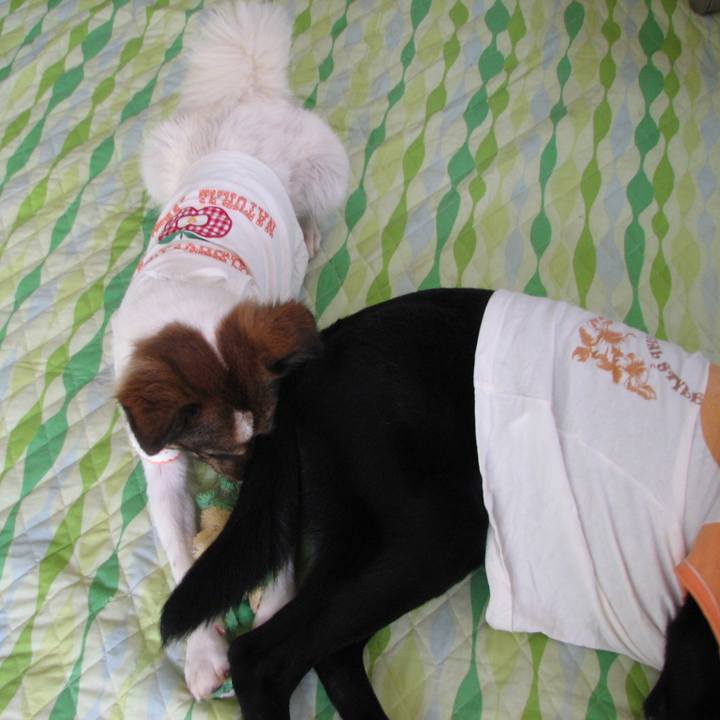 Eab62bbd 2511 4adc bd6c 3b26ccf69fd2 1575465493967