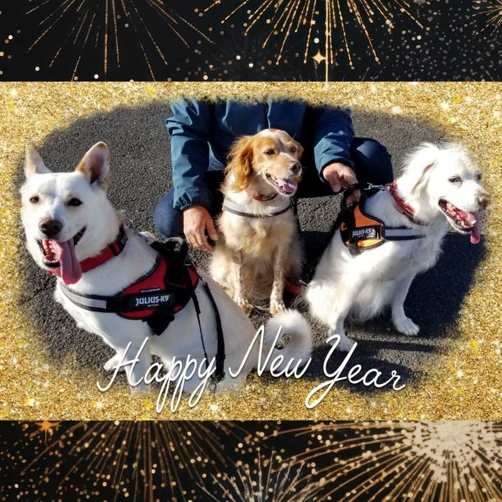 Eab67958 944d 49f5 bb30 2c621fe4733c 1704168663674