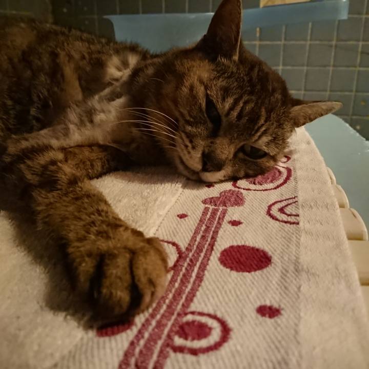 Eab68741 5c62 4d25 9d46 cb9bbf60e11a 1591007478222