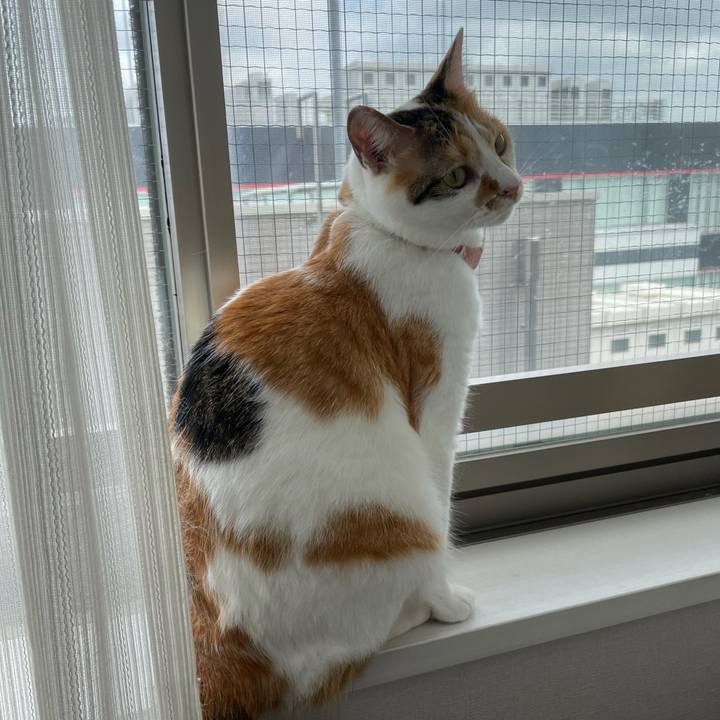 Eab7431a c8bc 49a7 b36e 4b876ff8b2c5 1628048907350