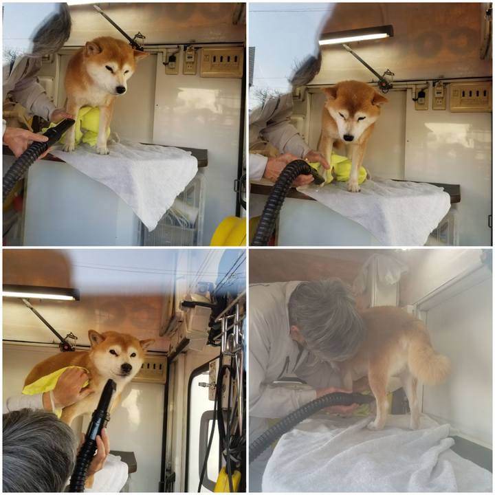 Eab76de8 61ff 4a20 8ef5 0875612ce78c 1613958183160