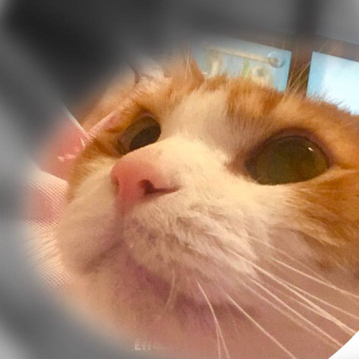 Eab782e1 d7b1 4dad 8940 0b76af4707d6 1579691902587