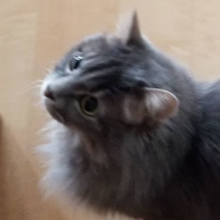 Eab79fd7 f797 4004 a1ad b2aa1a6ab0db 1579730393906