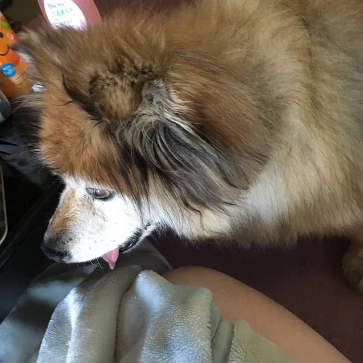 Eab818db 5f06 4531 851f a24ba8f5cfe9 1568976042623