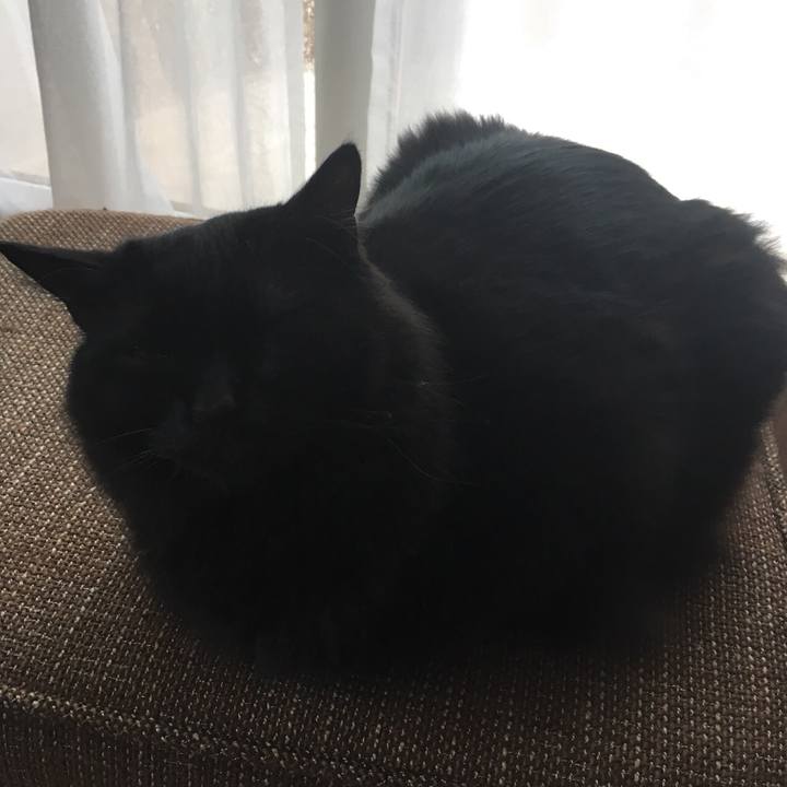 Eab81fc6 00e2 4364 be58 f211a940a813 1528783539003