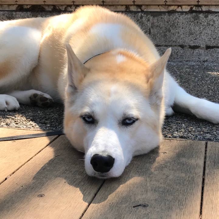 Eab84d77 db7f 4759 82a4 90324594ba02 1522466112196