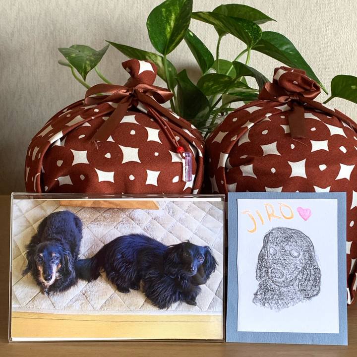 Eab87772 319a 4bfd b2a9 a39d563da11a 1698404522594