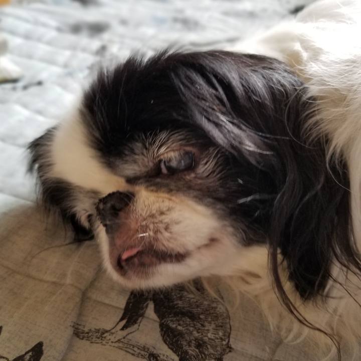 Eab87e3c 6e6d 40d1 b05b 4f1895304fad 1561277633640