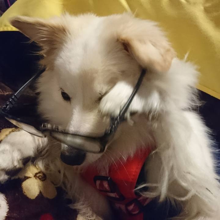 Eab8cc10 919e 4294 a3e9 deb5fb54344e 1511918171952