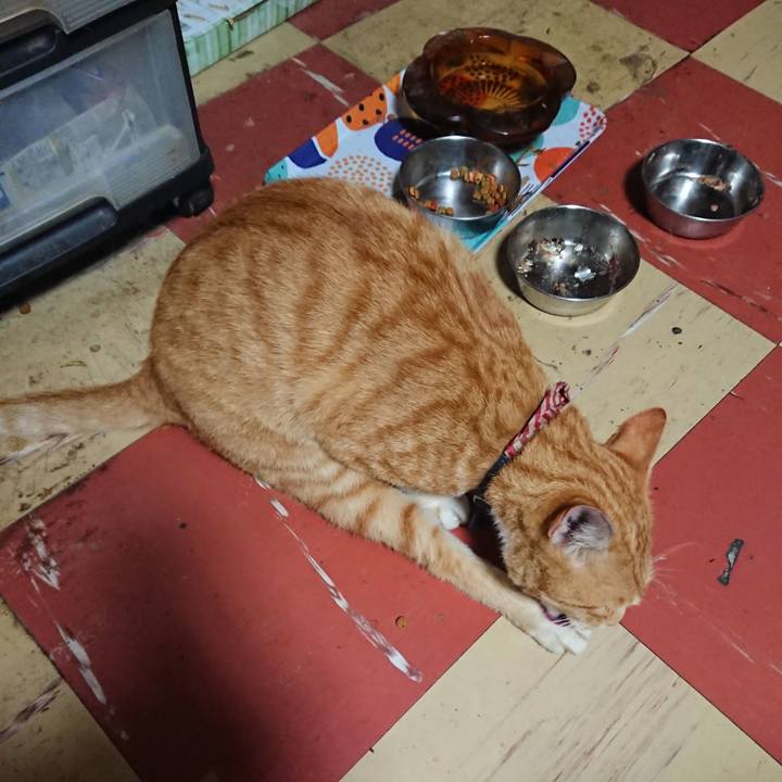 Eab8cd6f e57b 4bad b40c 81ea37b41e88 1562960662937