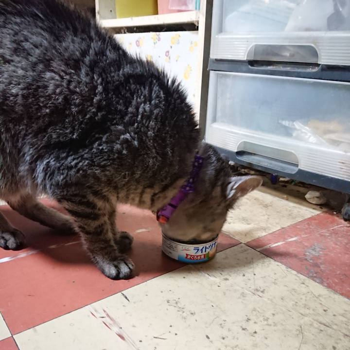 Eab8e2bd 06ce 4233 93af 4c462df44e35 1579341840318