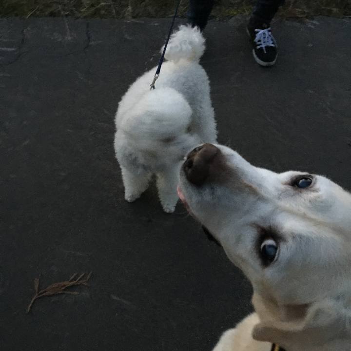 Eab8ea68 7e78 456d ba2c 52793859bfd3 1540285306020