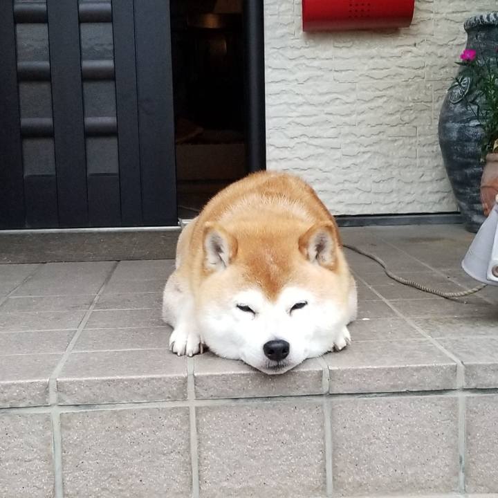 Eab938a4 17e7 4775 804b 13ece282eb31 1621416333706