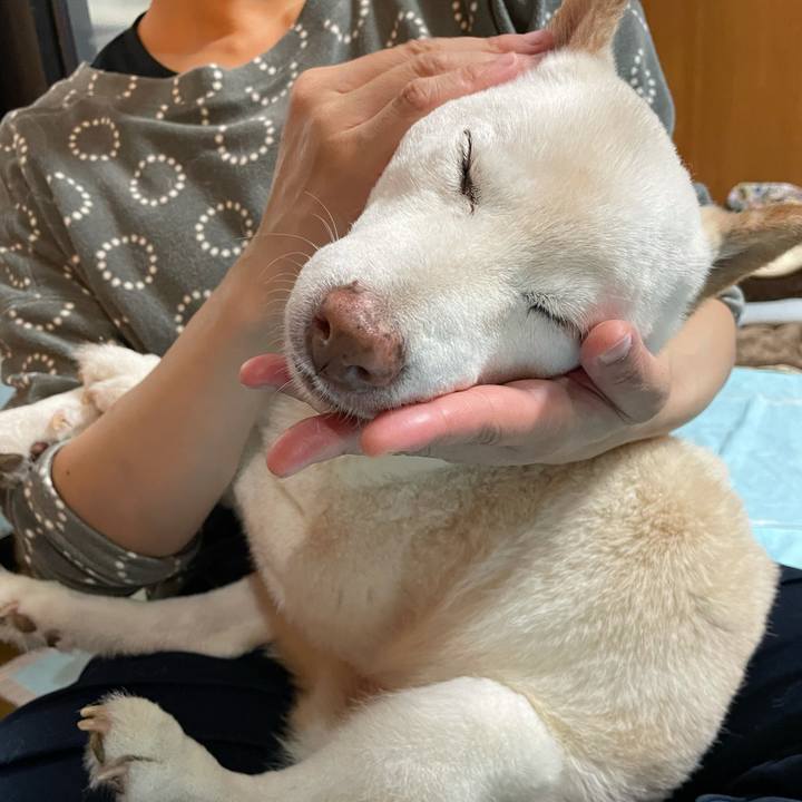 Eab940af 2a91 4e6e bd3e 6e3f274df89d 1635770490111