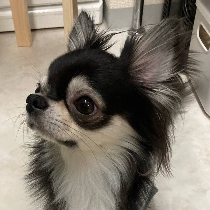 Eab9da6b 060e 4b09 ab58 8fc4fb4fdac5 1645278640765