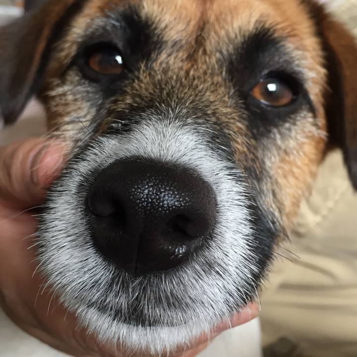 Eab9dc12 cb64 488c 9f7e f2b3342ce2b1 1523760635353