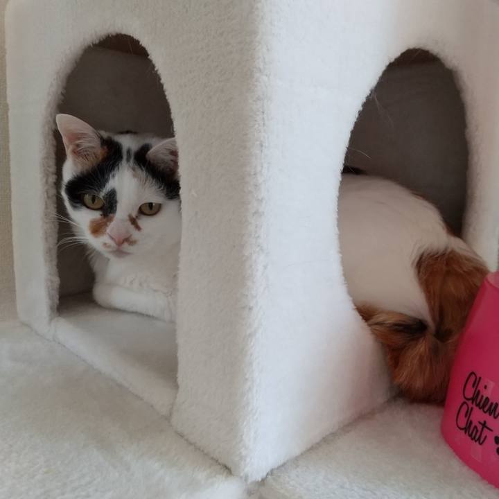 Eab9e4e2 1038 4dc5 aacb 114486a84eb9 1618717855389