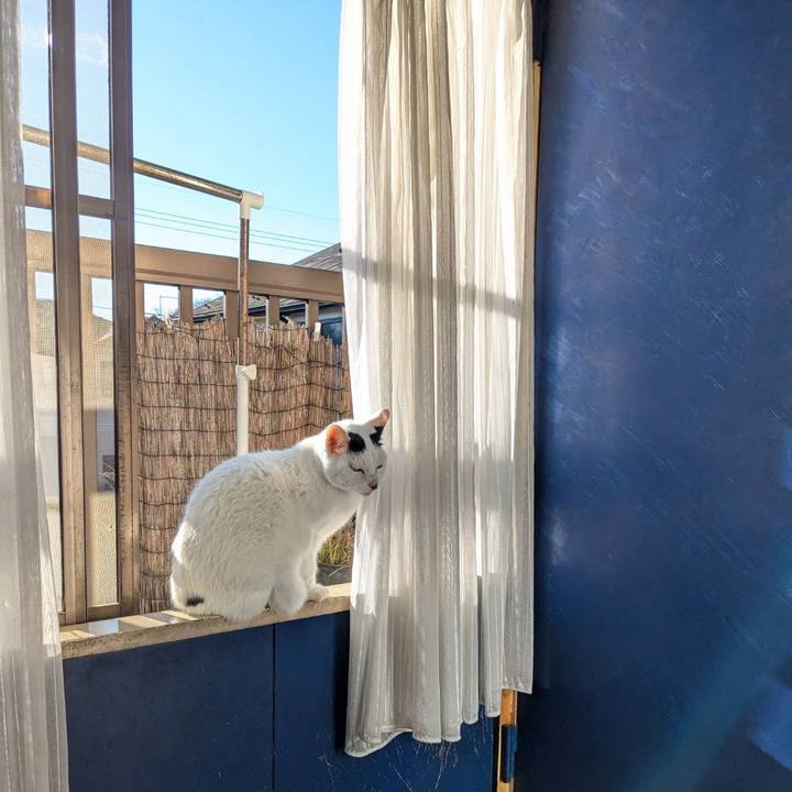 Eab9ec9c 92a9 40f1 87f3 bc4bc8520647 1734999383776