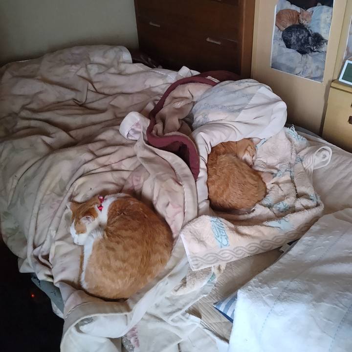 Eab9fab8 2b48 4509 929c 2d4e8b986ecf 1746309554159